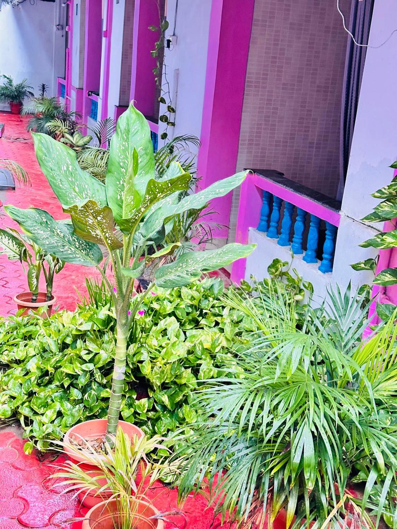 Hotel Blue Mirage Palolem Goa Canacona Exterior foto